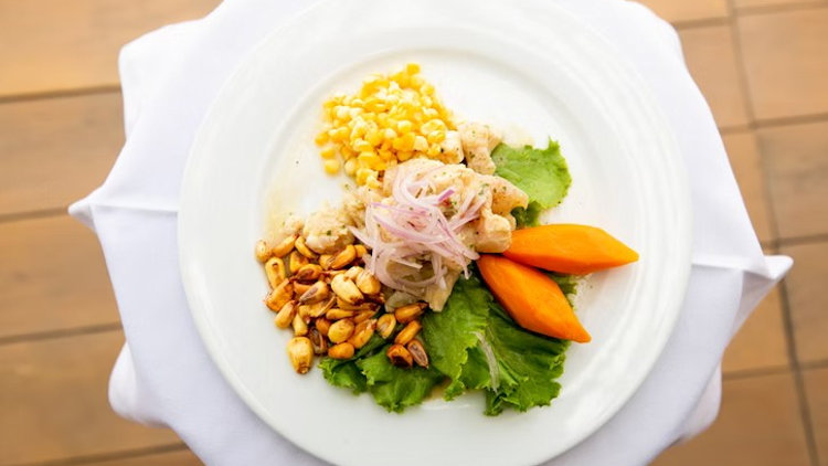 delfin cuisine